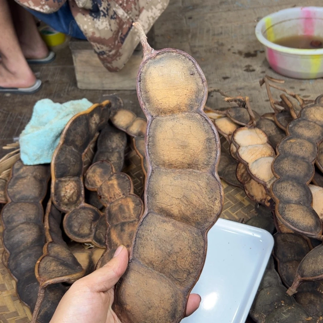 ?***?平安豆过江龙藤豆