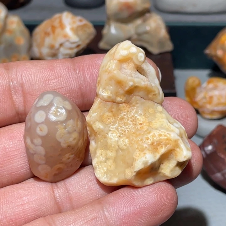 聚***主石材阿拉善沙漠奇石