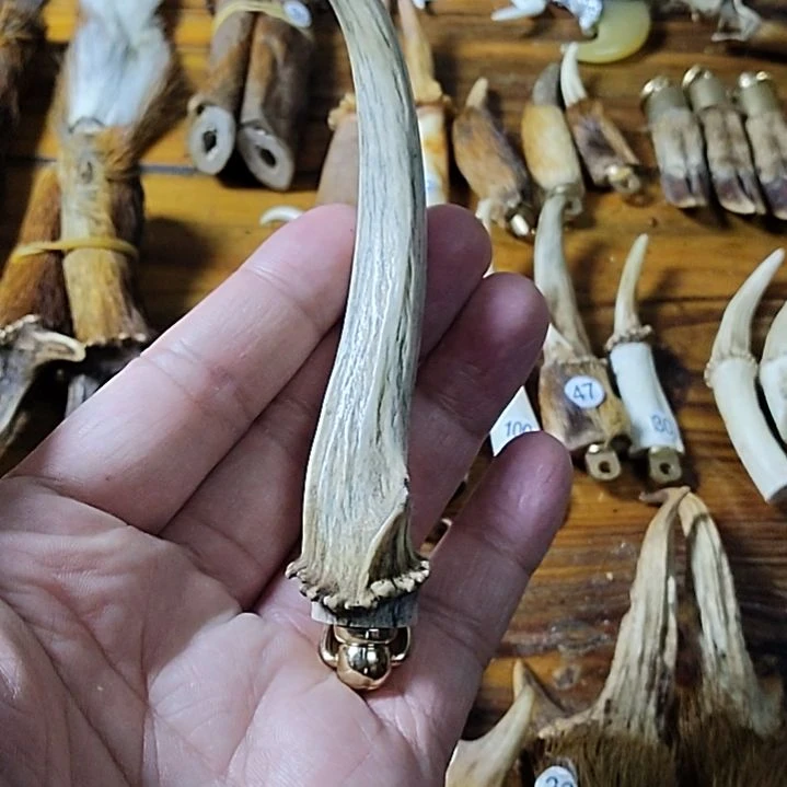 鸿乐堂直播间选货