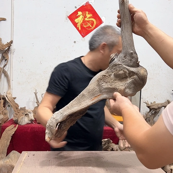 柏木柏***艺我们的生活是以自己