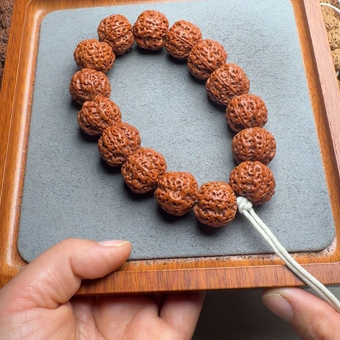 菩提菩提11号尼泊尔大金刚22爆肉梅花