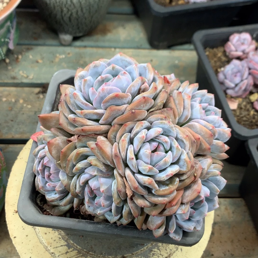 哈哈哈哈哈哈哈哈哈