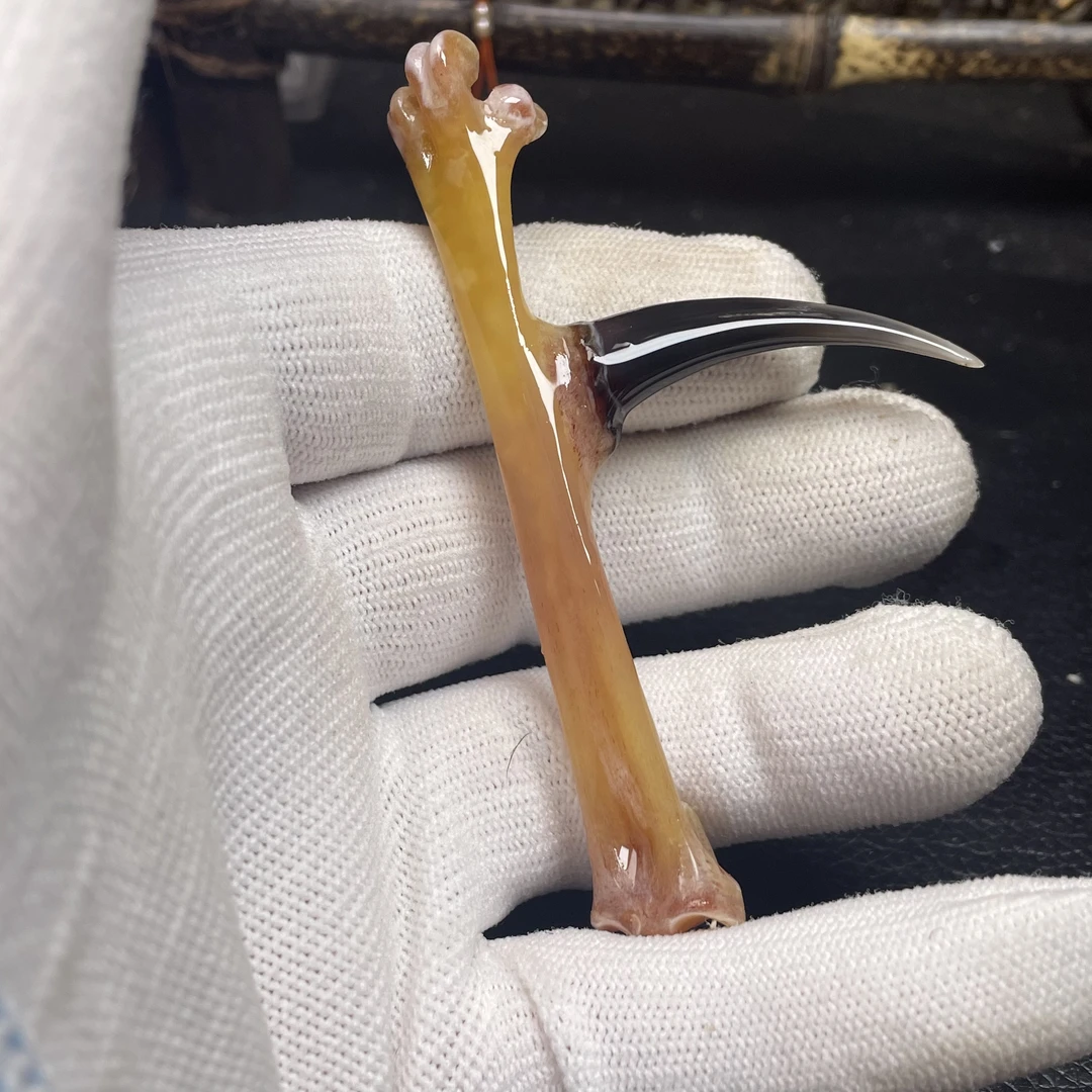 鑫源骨艺鸡爪骨手把件水墨弯钩单只