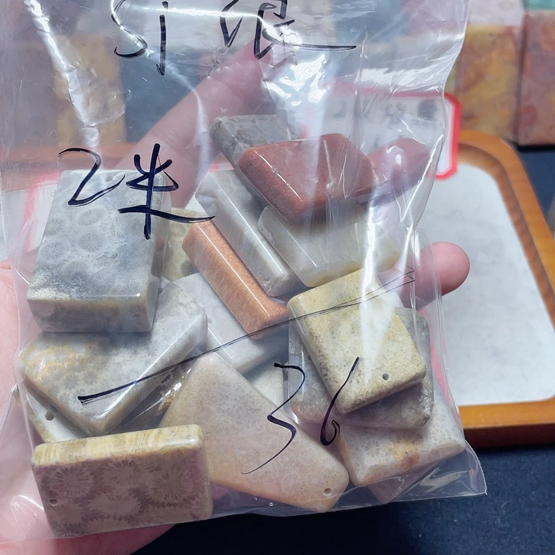 s***浪硅化珊瑚（珊瑚玉）合金颈饰