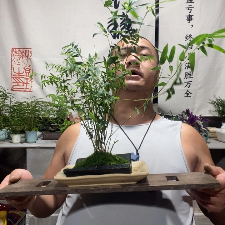 悠**哉退款拉黑一物一拍340