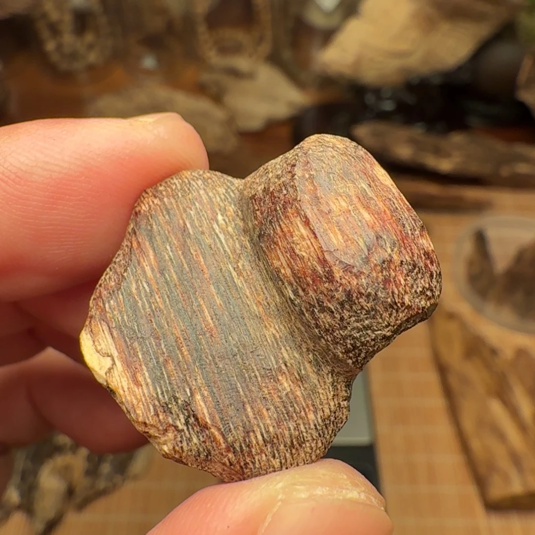 沉香香港西贡棋韵瓜子