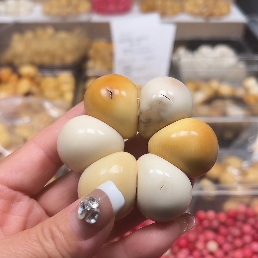 菩提根/象牙果手串瑕疵卡31双色大蒜瓣一个表面有裂