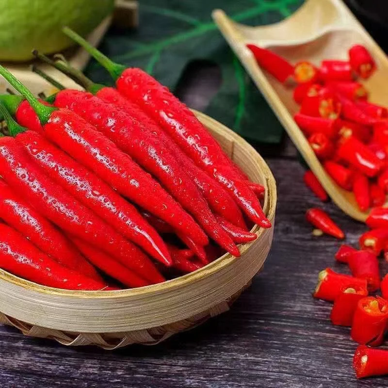 【含箱重3斤】新鲜现摘特辣小米辣可用于餐饮调味的优质蔬菜辣椒