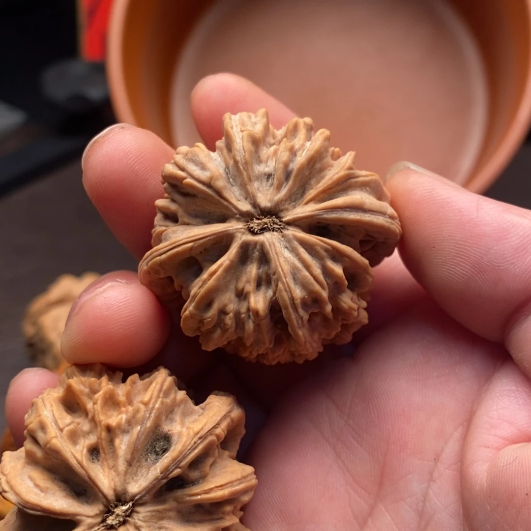 等***，福利福利福利福利