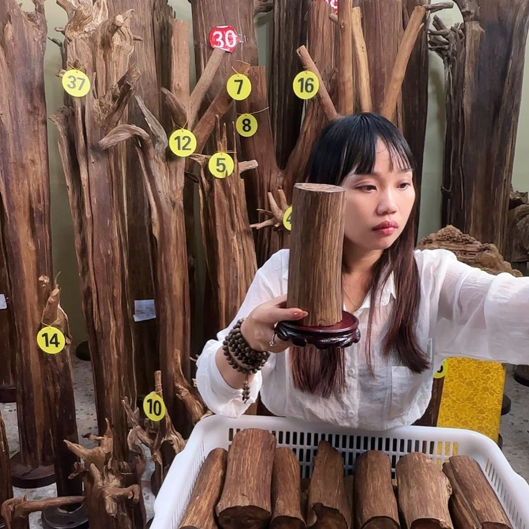 沉香沉香碎屑天然沉香原材料香料熏料