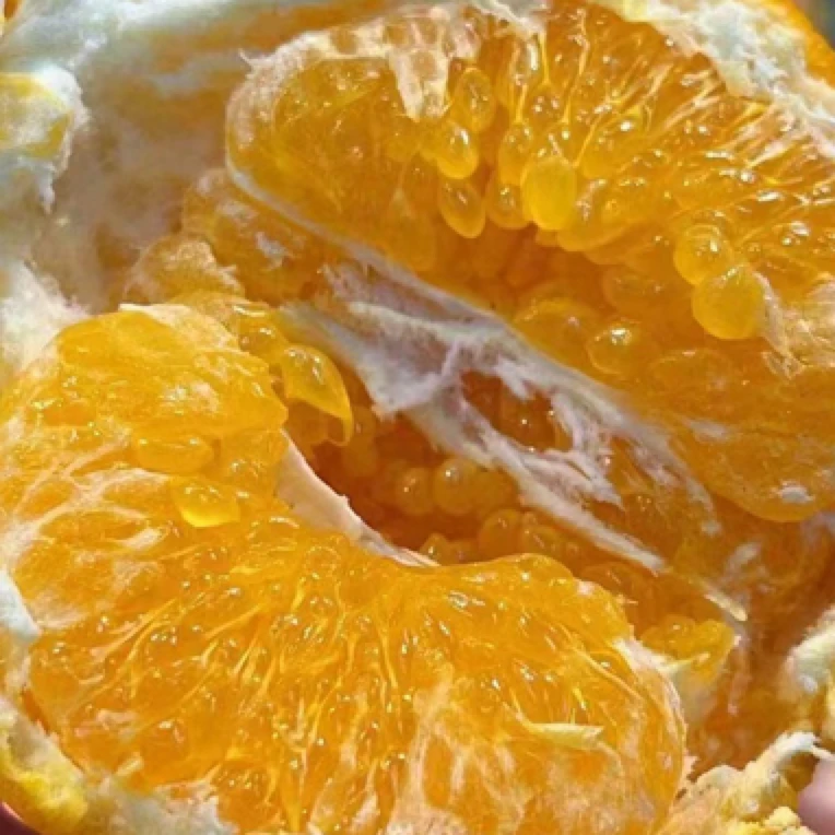 【四川春见耙耙柑】一份净果5斤（中大果）