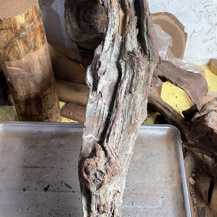 黄花梨/降香黄檀檀*