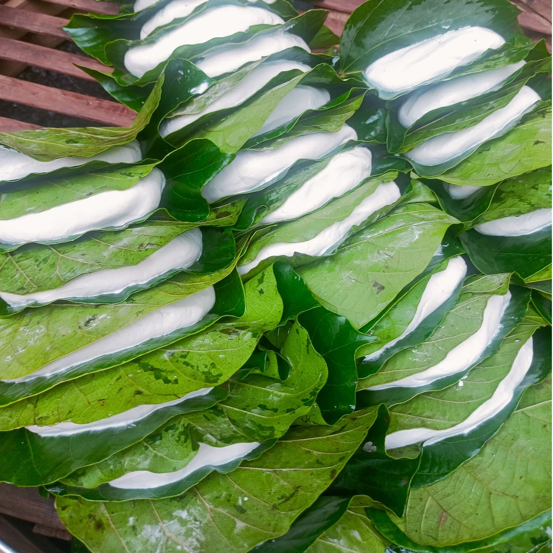 湖南邵阳手工桐子叶粑粑健康低糖早餐传统点心糕点