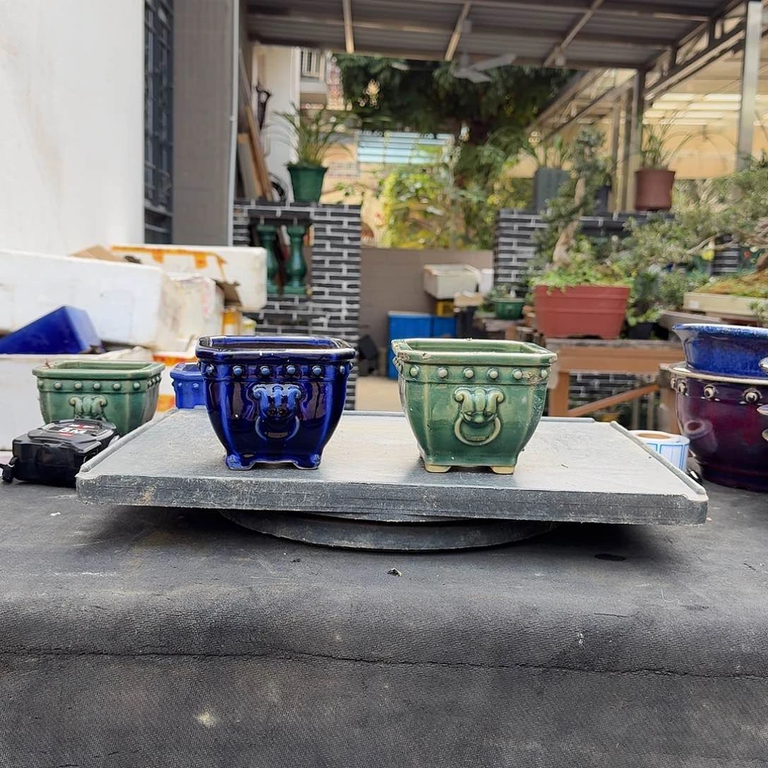 红陶L*艺f f g g g g g g g g g