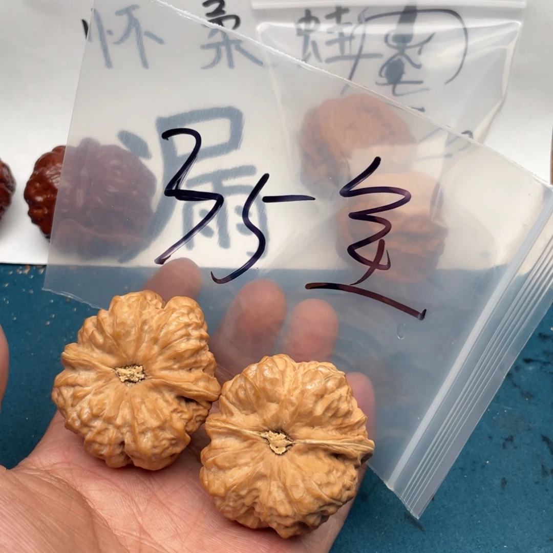 核桃W9474696446946466446