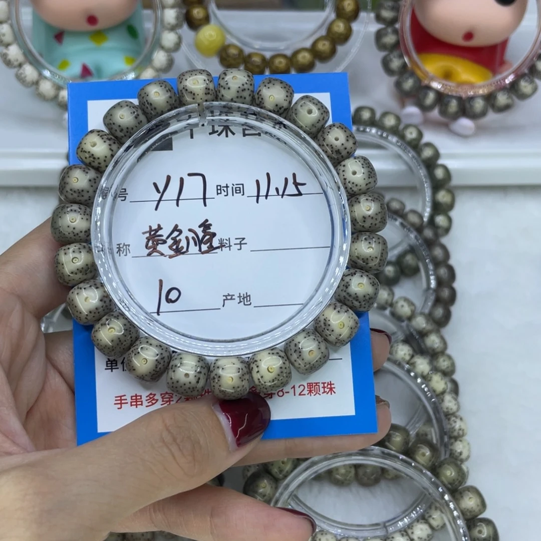 菩提籽类Y17黄金瞳