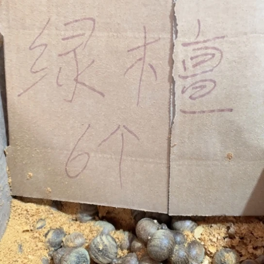 非洲紫檀（红花梨）