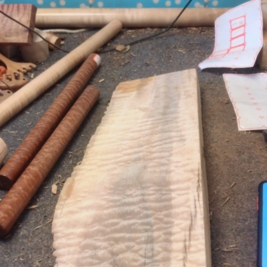 大果紫檀（缅甸花梨）阿*