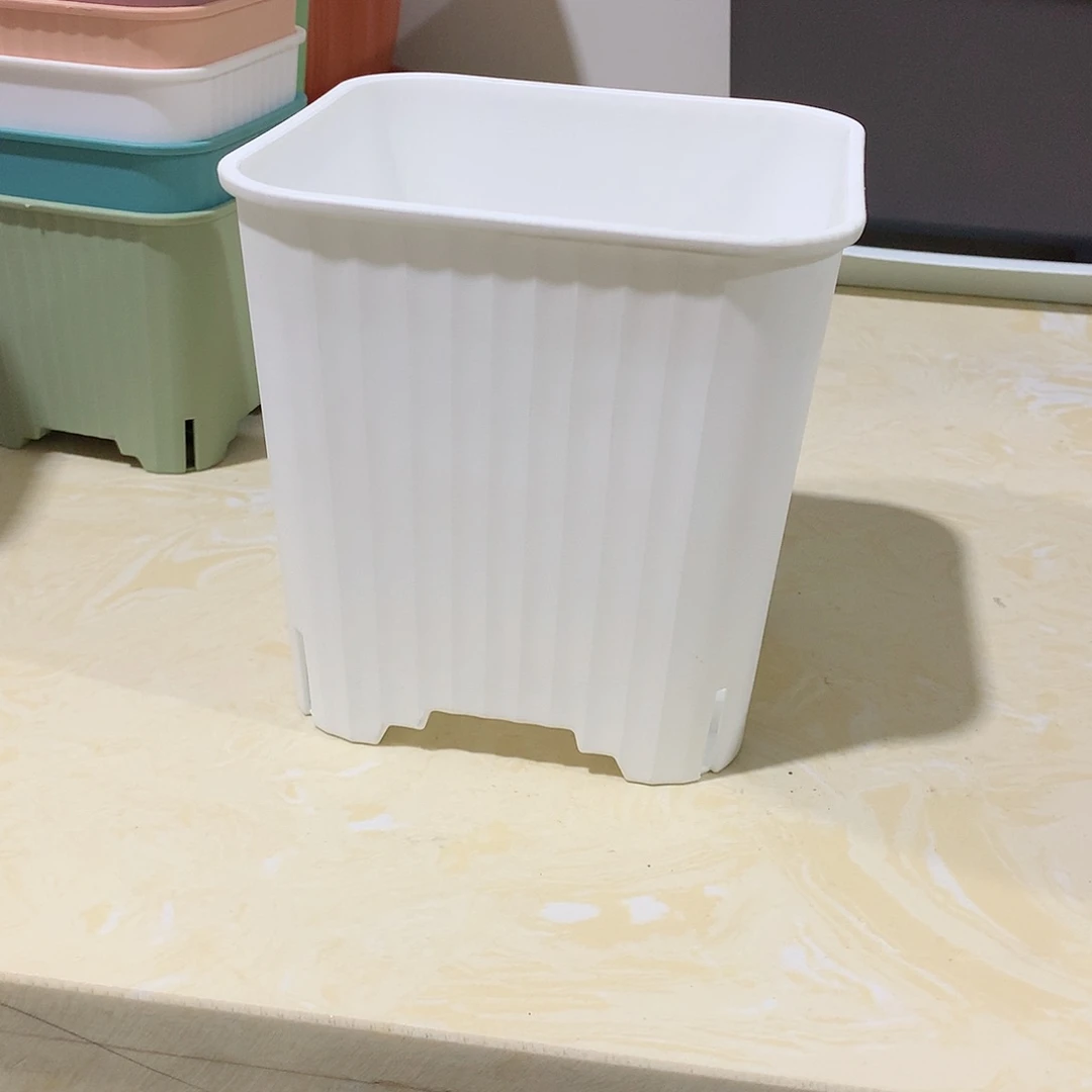 树脂多肉口14白5个带托