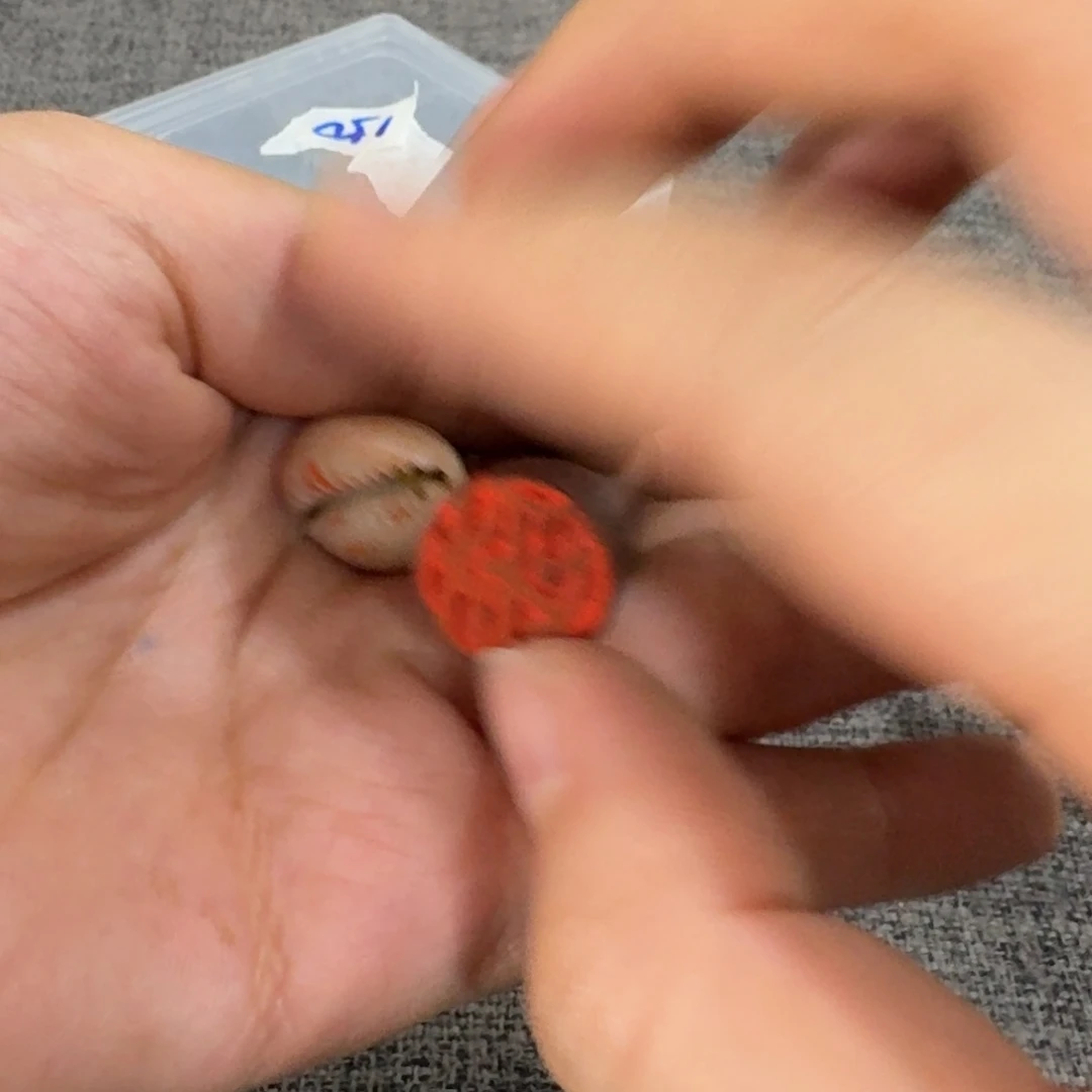 非常好用漂亮的茶具
