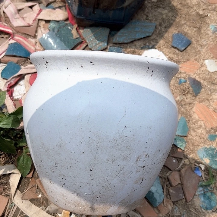 口19高19瑕疵。。。。。。。。