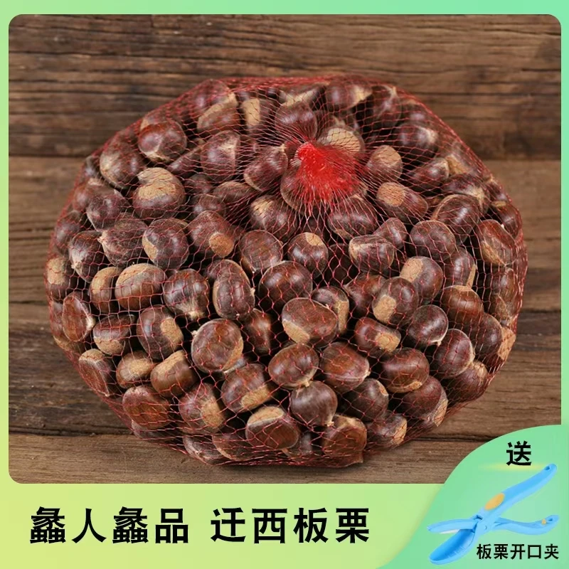 2025新鲜下树正宗迁西板栗3斤装大果糖炒板栗生吃