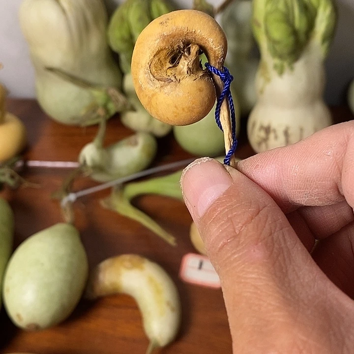 卡***尔青皮葫芦手把件摆件