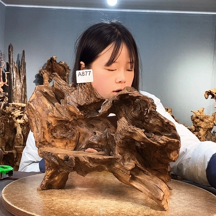 茶盏这****思877株木随行的小根艺