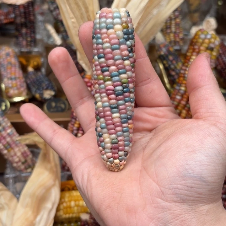 柏香籽/百香籽吊坠用****2