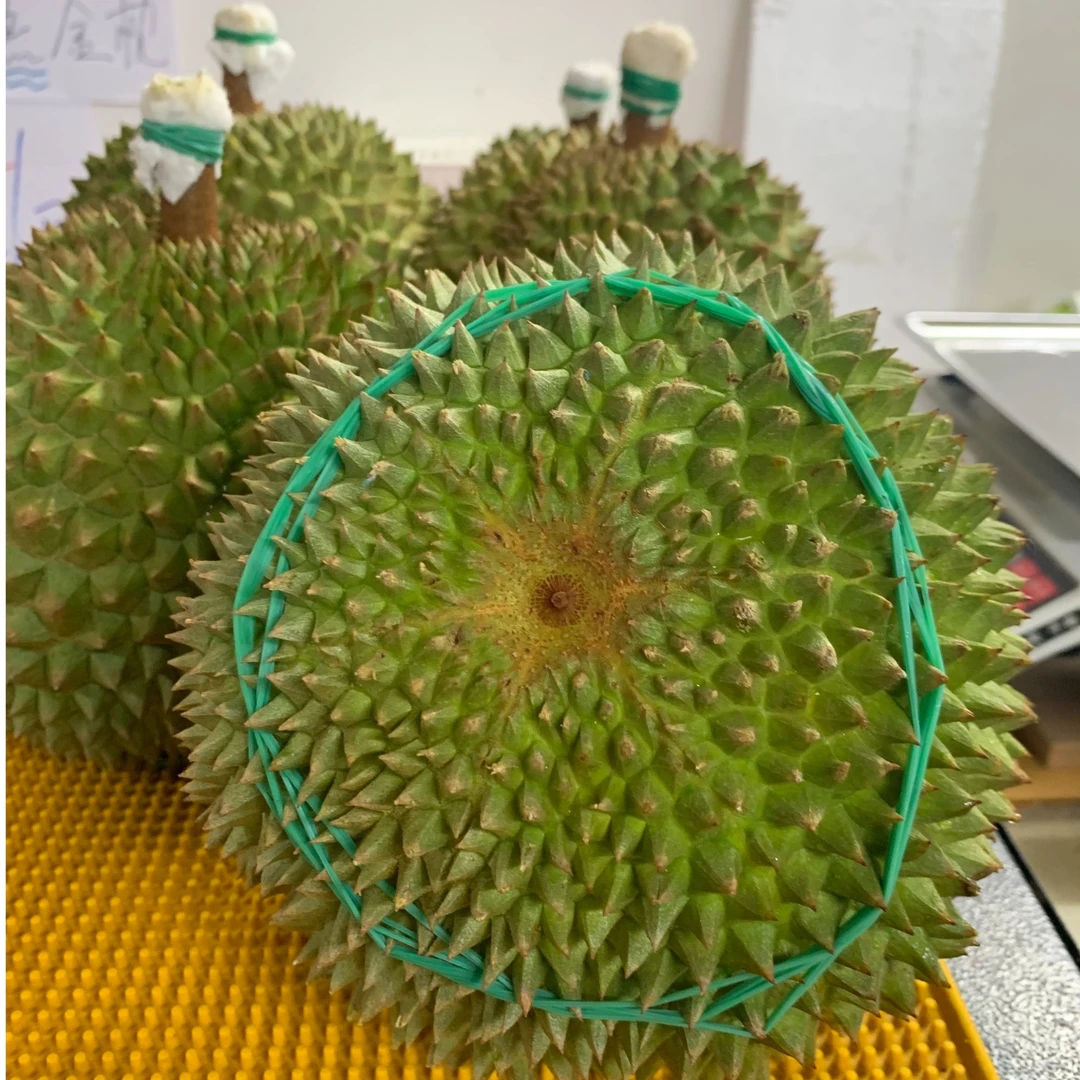 【鲜果】马来西亚黑刺新鲜黑刺D200（3-5斤，核大）默认开果黑刺马来西亚