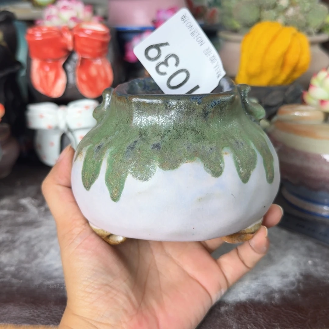 重庆小燕子欢迎大家039