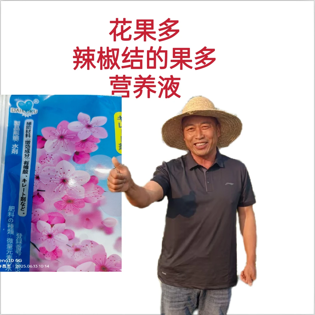 粮鑫花果多 辣椒营养液
