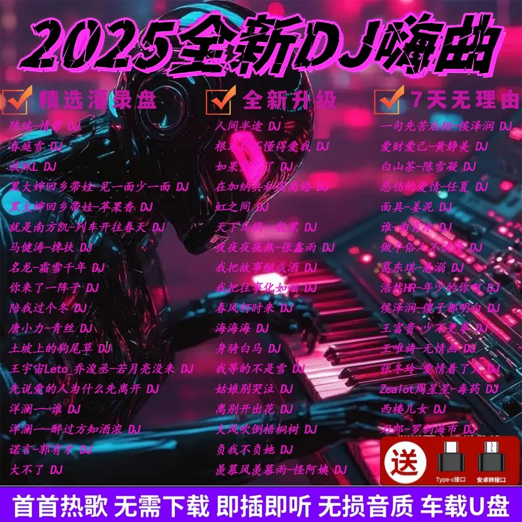 2025火遍全网流行伤感DJ情歌榜音乐U盘抖音热门催泪神曲高音质盘
