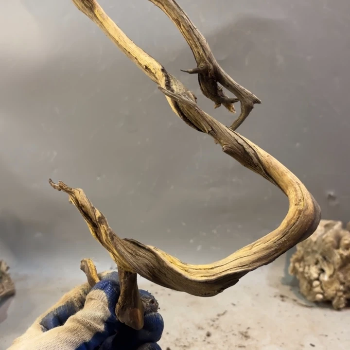 云***2崖柏双色造型摆件料