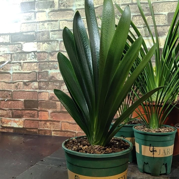 完全开放11111111111