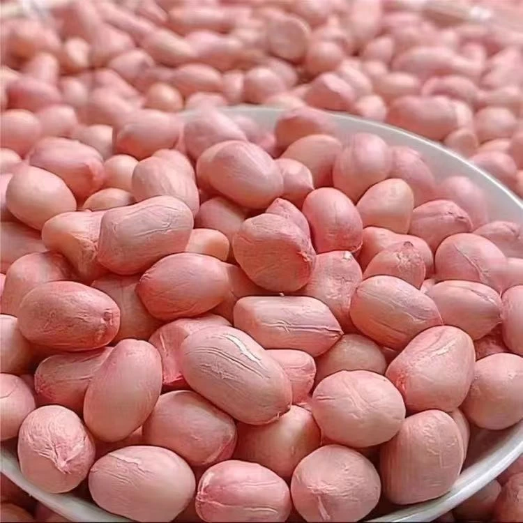 2025年新上市五斤三斤十斤白沙花生米生花生