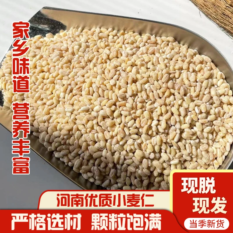 河南小麦仁原汁原味熬粥八宝粥
