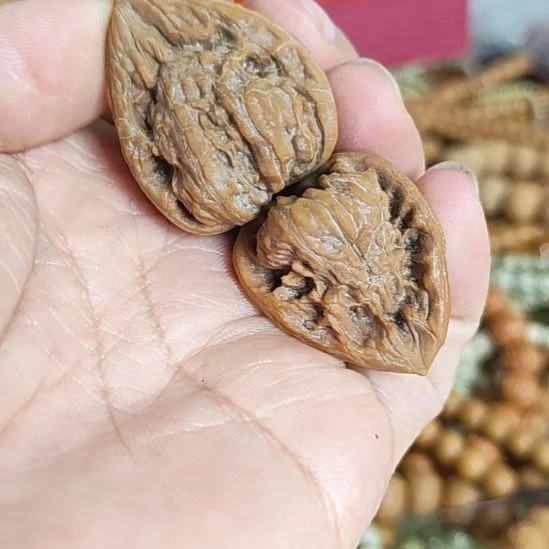 玖***弦把件文玩核桃异形不知名两个