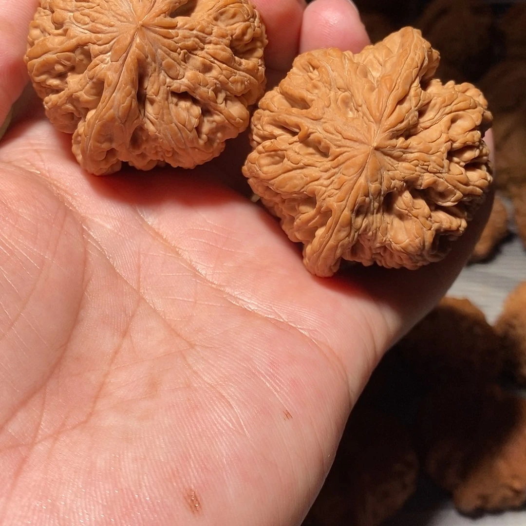 文玩核桃把件026大粗筋49尺全品