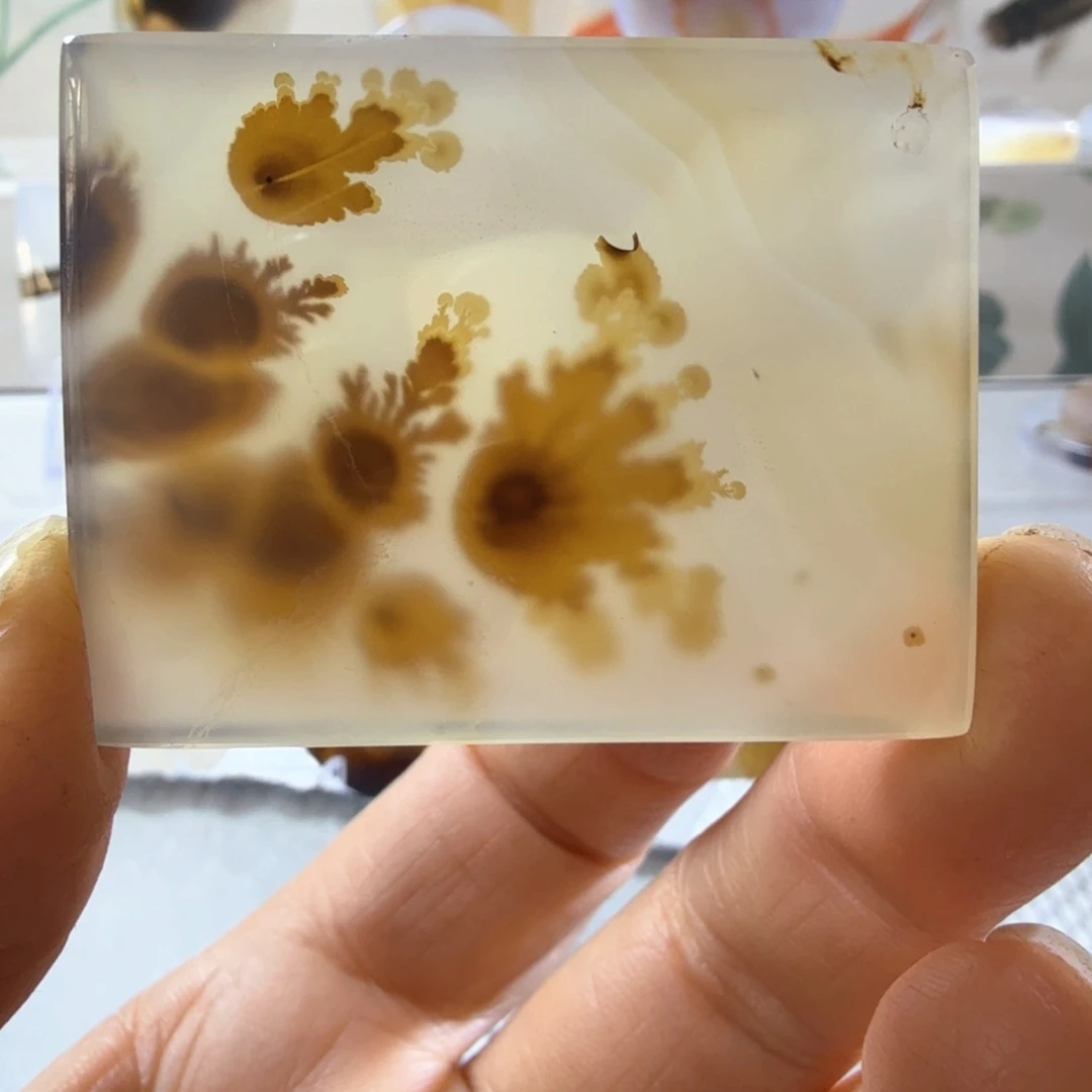 未镶嵌吊坠(不含链)玛瑙/玉髓