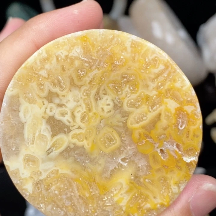 未镶嵌手镯（圆镯）硅化玉