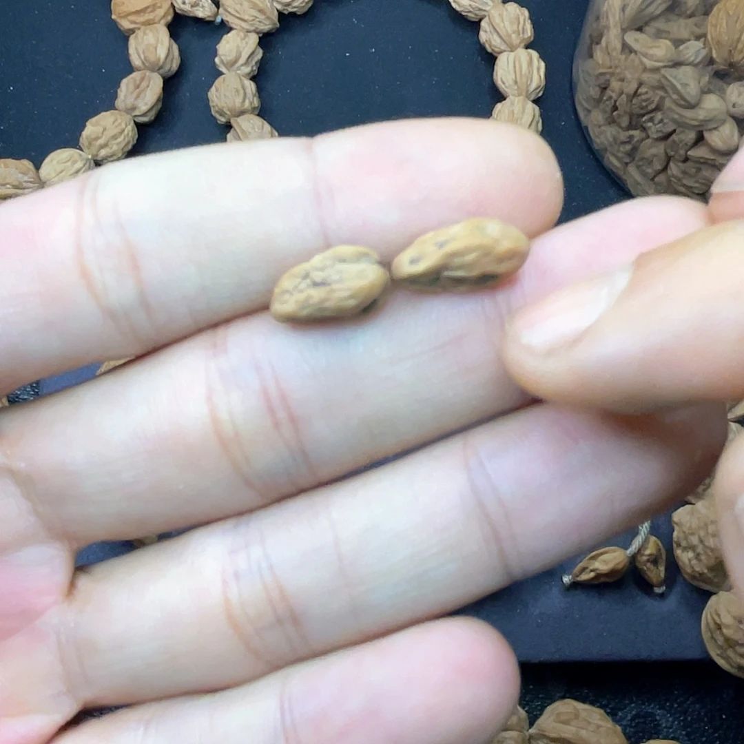 .***.手串桃核无修无泡药异形