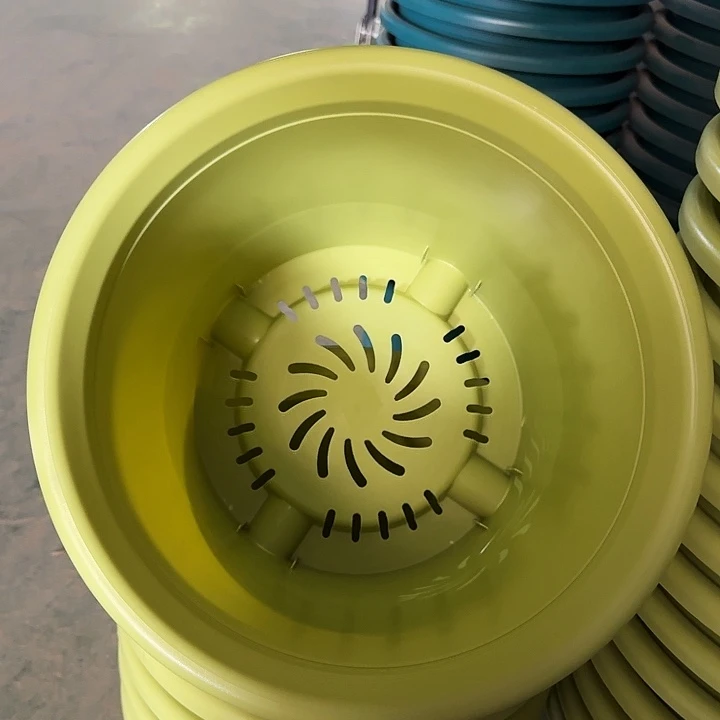 四季6号果绿无托7个特价微瑕