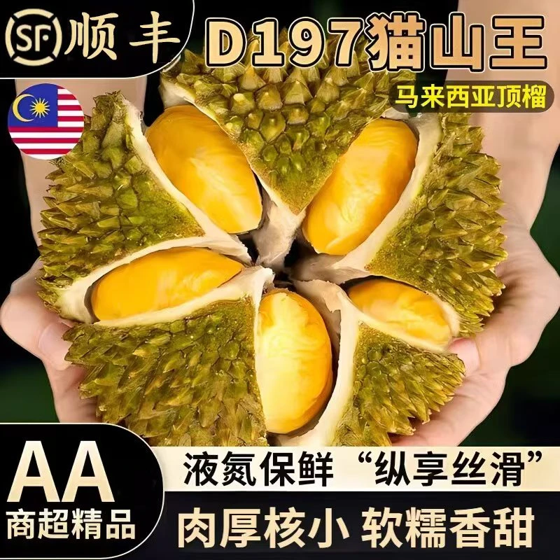 AA果保五房猫山王榴莲马来西亚树熟榴莲顺丰包邮液氮冷冻榴莲肉