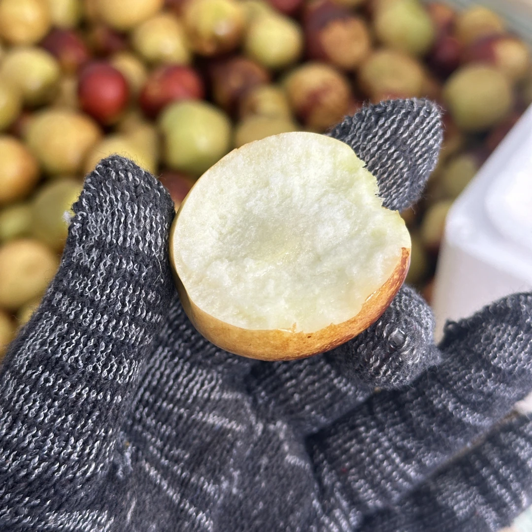 正宗沾化冬枣新鲜现摘当季脆甜多汁水果