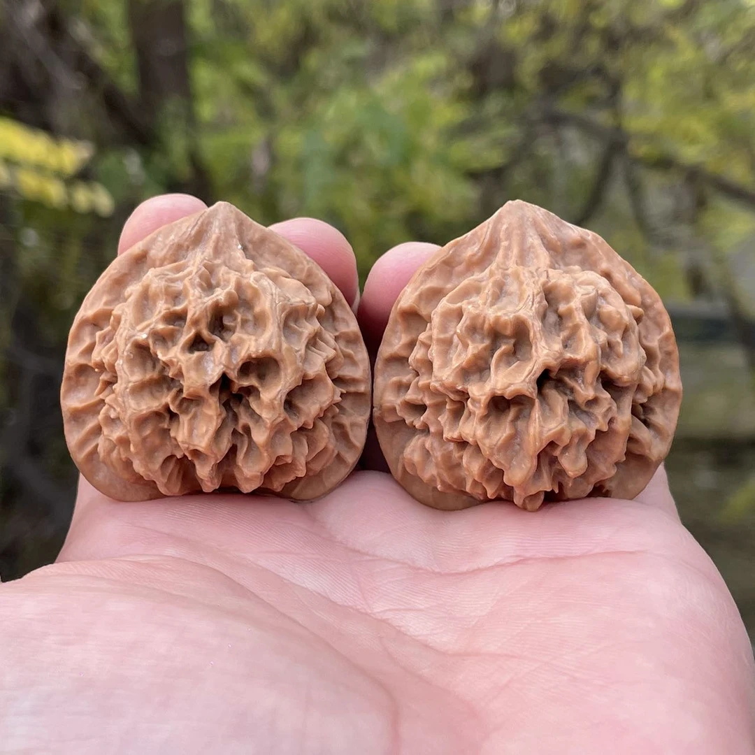 【中国涞水麻核桃协会】5 G10018-核桃把件（帝王狮子头）-尺寸40mm