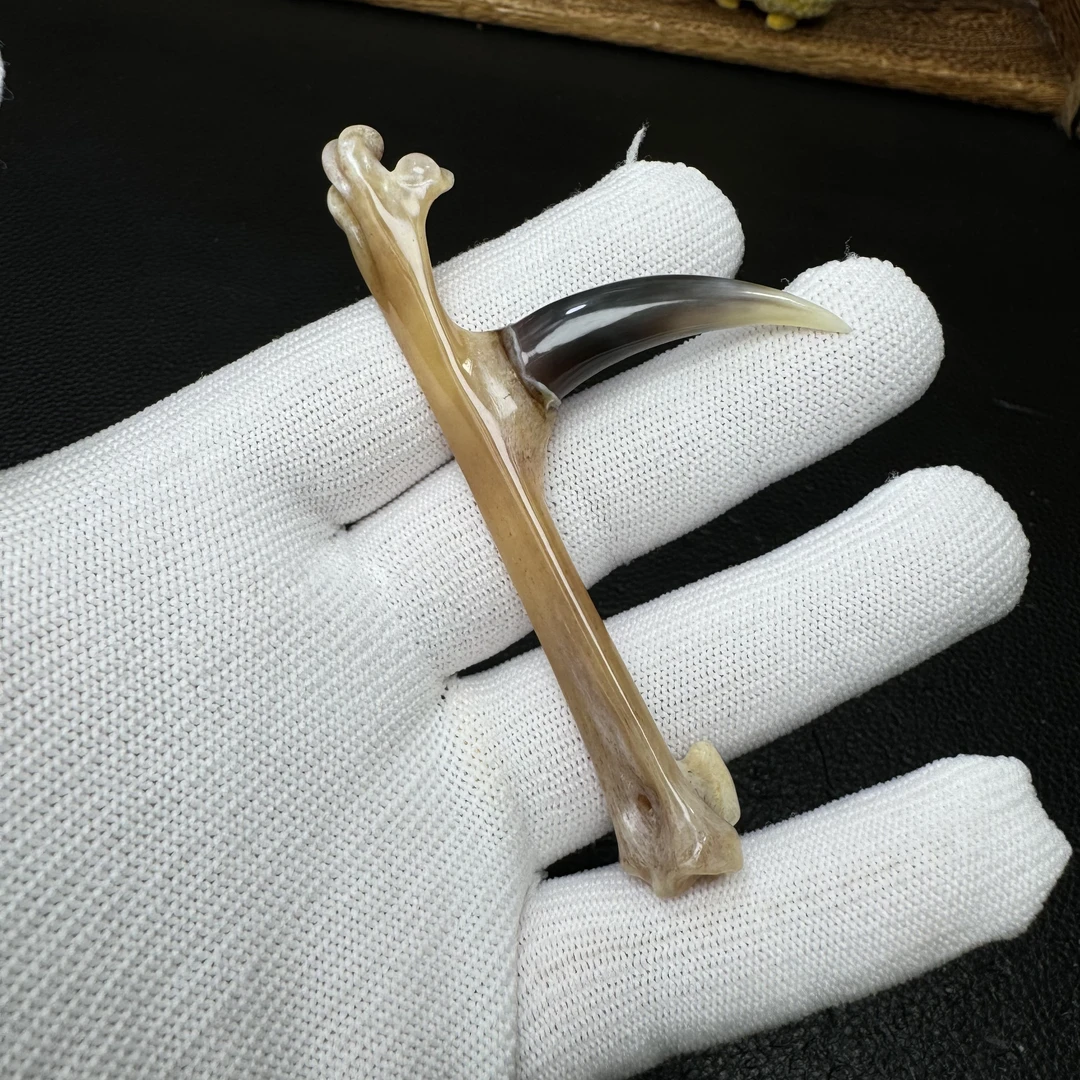 文玩鸡爪骨手把件（单只成品）