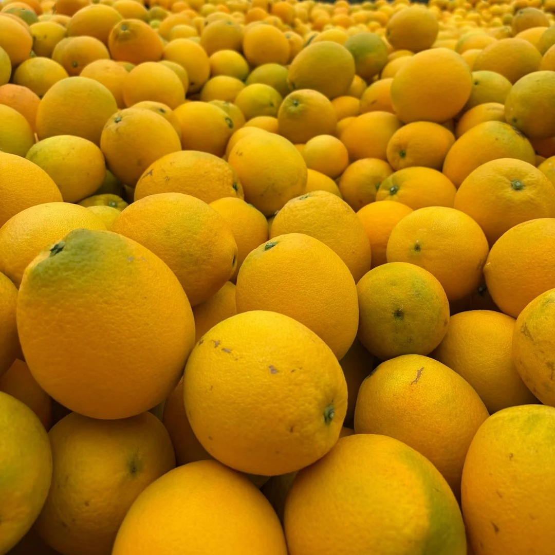 会昌甜口赣南脐橙带箱10斤装