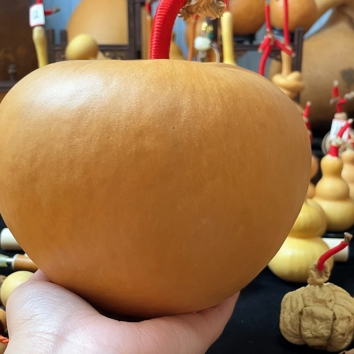 辽***卫葫芦岛连山区……好好用我一生去过