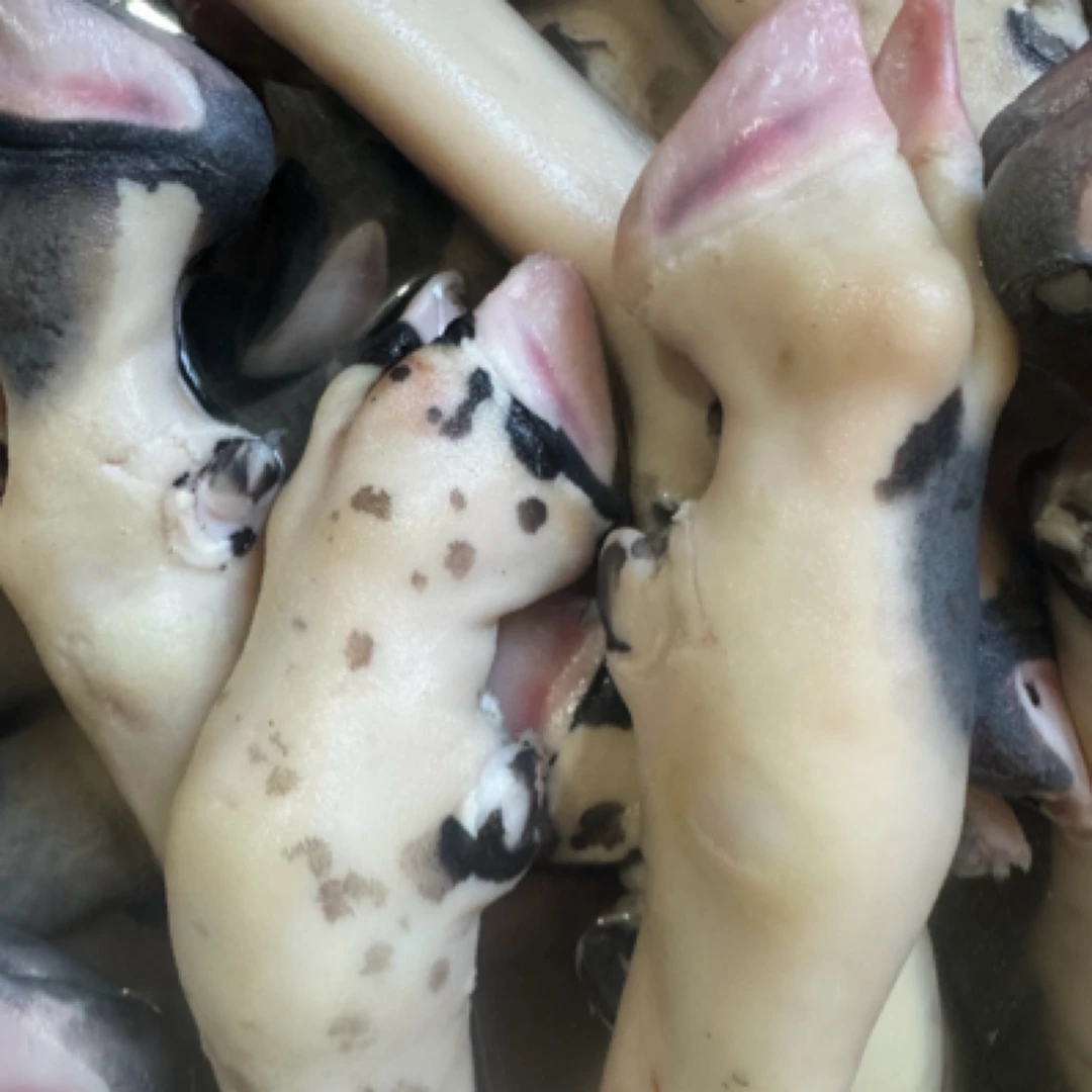 清真原色花羊蹄，新鲜营养丰富